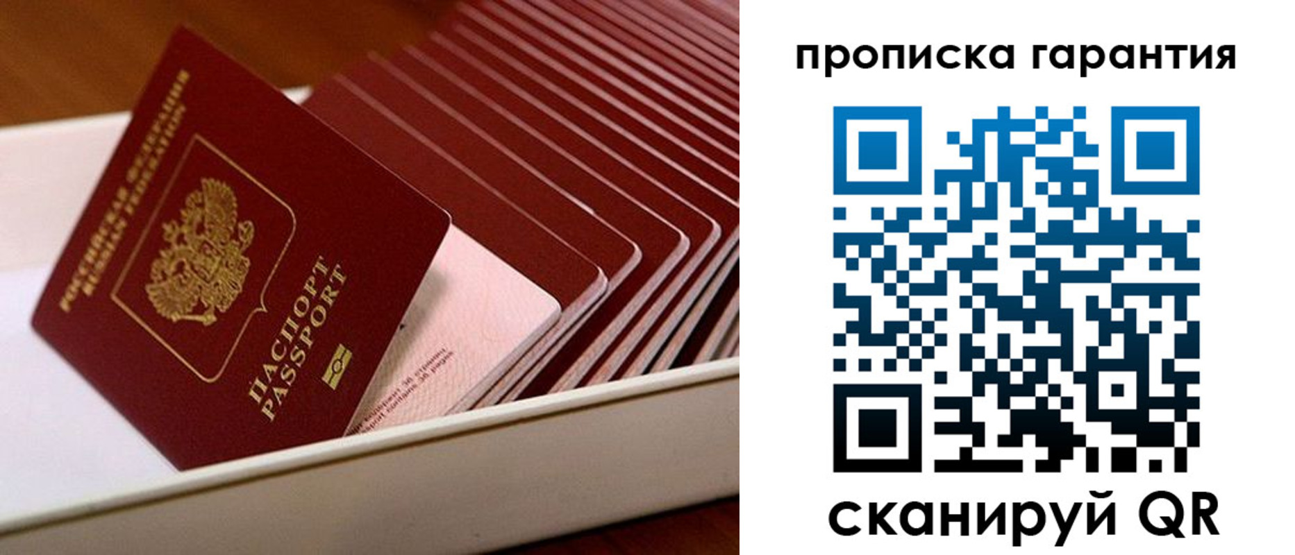 прописка поиск в Каменке
